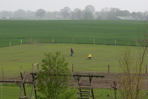 Höffentlich hören und sehen wir bald das Gras wachsen...