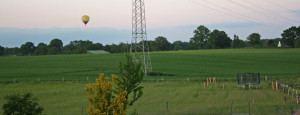 Panorama über die Weidefläche